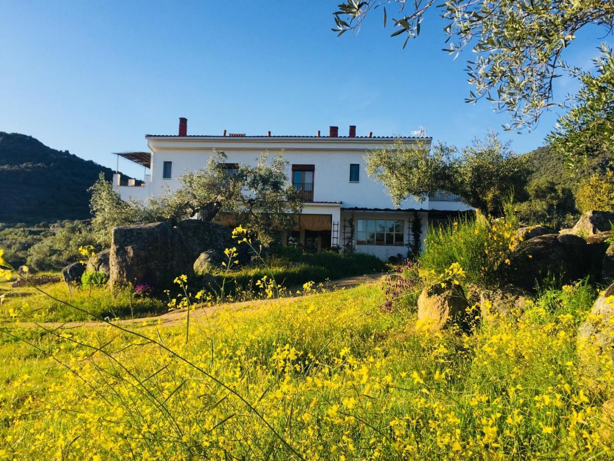 Flores Amarillas B&B Almoharin Exterior foto