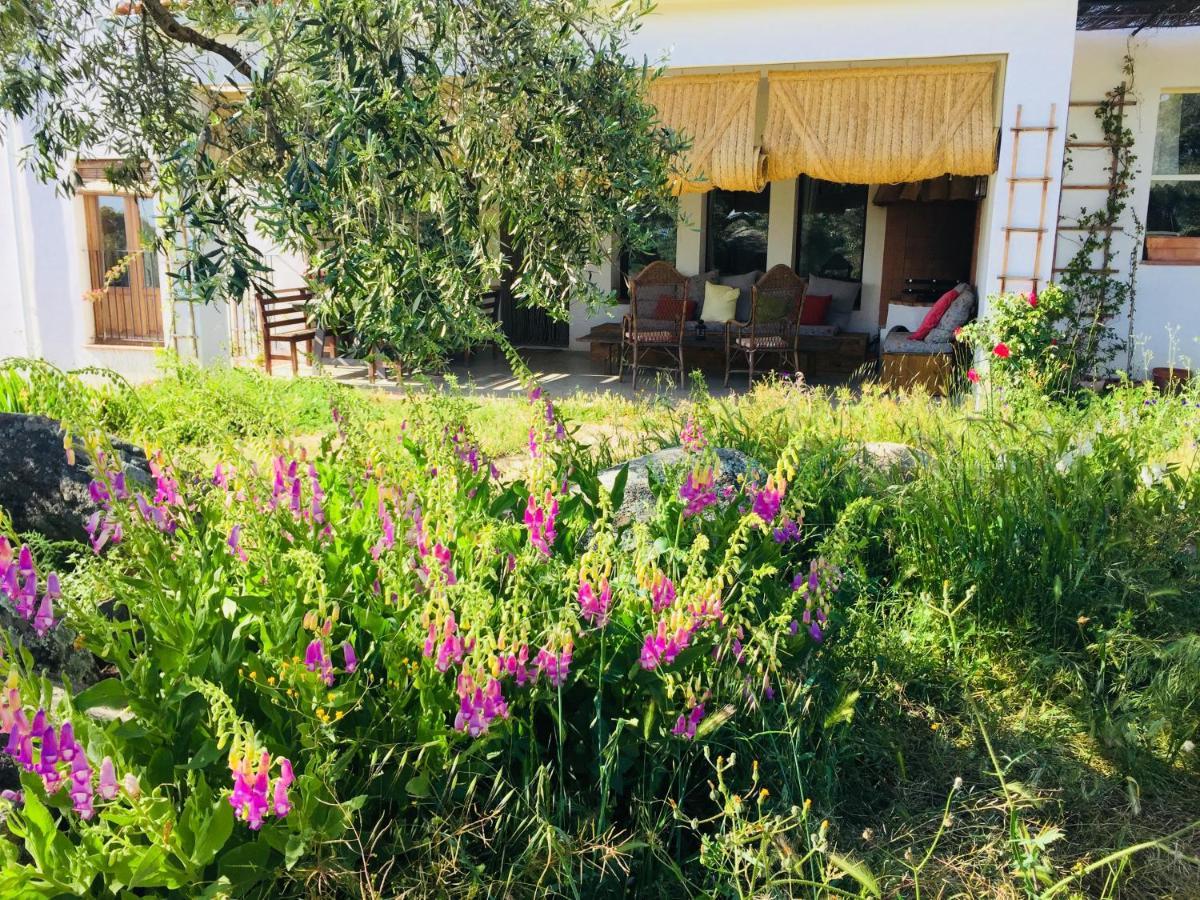 Flores Amarillas B&B Almoharin Exterior foto